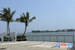 目次外货色进入商业征进口关税