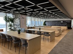 这个世界不再有更多新的工做了