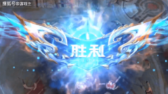 <b>玩家所挑和的是电脑的人机</b>